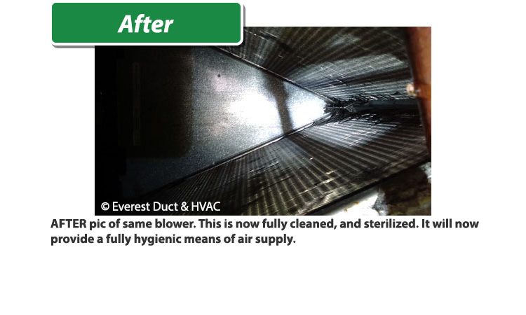 Duct Cleaning in Tucson AZ